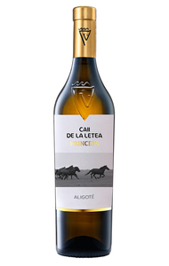 Via Viticola Sarica Niculitel - Caii de la Letea Aligot Weiwein trocken